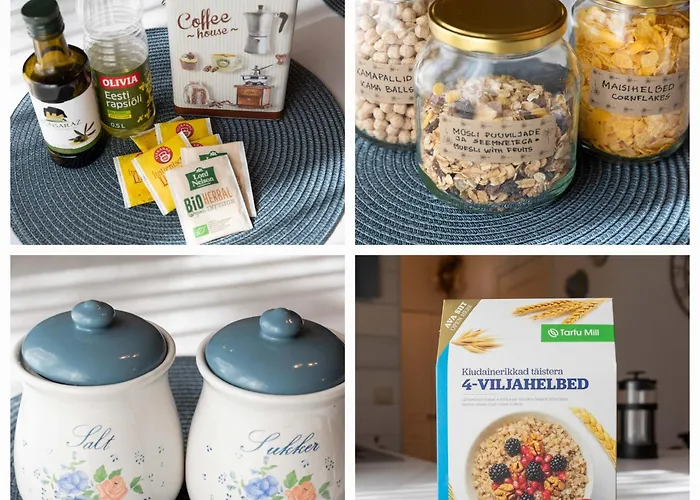 Διαμέρισμα Aiaviisa *